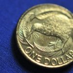 【ゴールドコイン】ニュージーランド1ドルコインについてまとめてみる