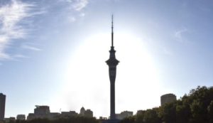 【最新情報発信中 ！】ニュージーランド でワーホリしているブログ ６選