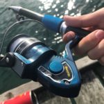 【2019年 ウェリントン 釣り記】シティ付近のHATAITAIで海釣りをしてきた