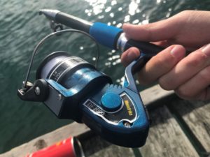 【2019年 ウェリントン 釣り記】シティ付近のHATAITAIで海釣りをしてきた
