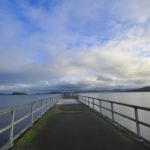 【ニュージーランド 釣り記】ウェリントンPETONE WHARFで釣りをしてみた