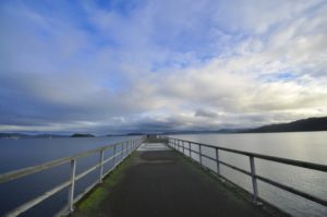 【ニュージーランド 釣り記】ウェリントンPETONE WHARFで釣りをしてみた