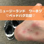 【ベッドバグ奮闘記】ベッドバグになってから回復するまでの期間についてまとめてみた。