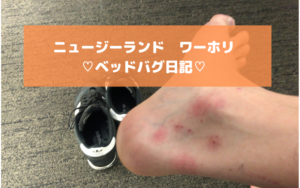 【ベッドバグ奮闘記】ベッドバグになってから回復するまでの期間についてまとめてみた。