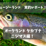 【ニュージーランド トラウト釣り】普通の湖・川でニジマスが爆釣だった話【オークランド】