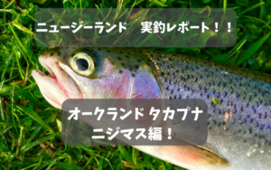 【ニュージーランド トラウト釣り】普通の湖・川でニジマスが爆釣だった話【オークランド】