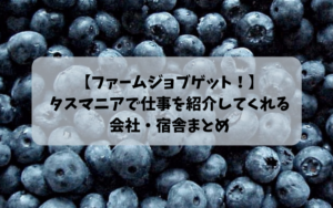 【タスマニア ファームで失敗しないために！】仕事を紹介してくれる会社・宿舎まとめ
