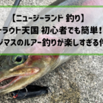 【ニュージーランド 釣り】 トラウト天国 初心者でも簡単！ニジマスのルアー釣りが楽しすぎる件