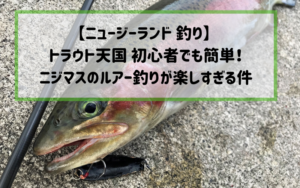 【ニュージーランド 釣り】 トラウト天国 初心者でも簡単！ニジマスのルアー釣りが楽しすぎる件