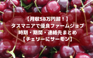 【月収58万円超！】タスマニアで優良ファームジョブの時期・期間・連絡先まとめ【チェリーにサーモン】