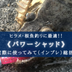 【名作ワーム!】パワーシャッド インプレ記事【おすすめポイント&選び方】