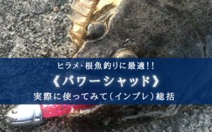 【名作ワーム!】パワーシャッド インプレ記事【おすすめポイント&選び方】