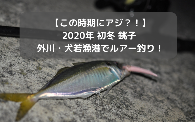 この時期にアジ 年初冬 外川 犬若漁港でルアー釣り 茶色のあの魚も シアターカミカゼ