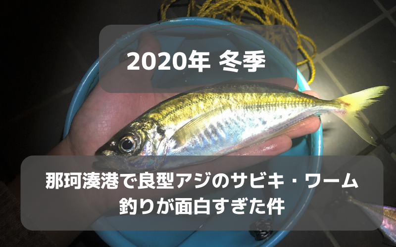 【2020年初冬】那珂湊港で良型アジのサビキ・ワーム釣りが楽しすぎた