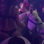 妙齢の外国人女性のアピールは凄いってこと