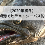 【2020年初冬】磯崎港で青物・メバルを狙わずにヒラメ・シーバス釣り【1月】