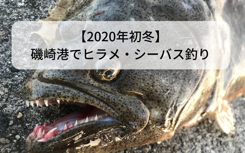 【2020年初冬】磯崎港で青物・メバルを狙わずにヒラメ・シーバス釣り【1月】