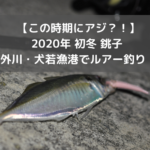 【この時期にアジ？！】2020年初冬 外川・犬若漁港でルアー釣り！茶色のあの魚も、、