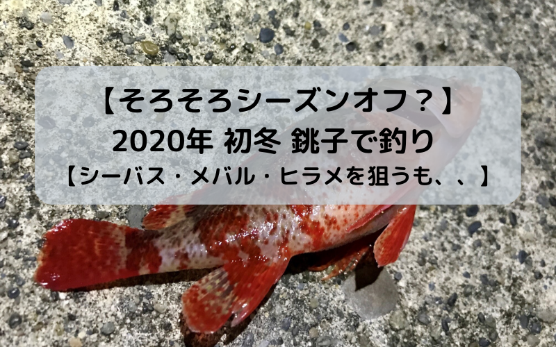 【そろそろ限界？】2020年 初冬 銚子で釣り 【シーバス・メバル・ヒラメを狙うも、、】