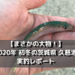 【まさかの大物！】2020年 初冬の茨城県 久慈港での実釣レポート