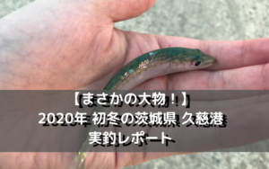 【まさかの大物！】2020年 初冬の茨城県 久慈港での実釣レポート