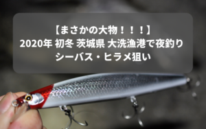 【まさかの大物！！！】2020年 初冬 茨城県 大洗漁港で夜釣り シーバス・ヒラメ狙い