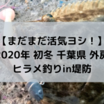 【こんな時期でも まだまだ活気ヨシ！】2020年 初冬 千葉県は外房でヒラメ釣りin堤防