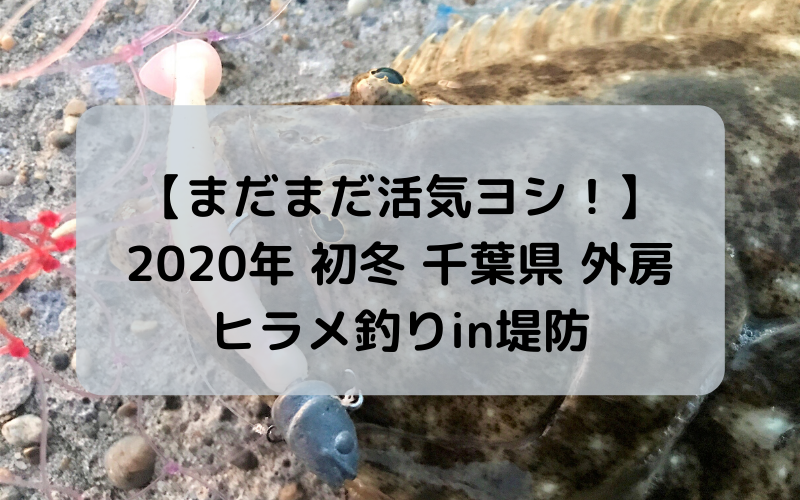 【こんな時期でも まだまだ活気ヨシ！】2020年 初冬 千葉県は外房でヒラメ釣りin堤防