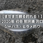 【まだまだ頗る釣れる！】2020年 初冬 那珂川 河口でシーバス・ヒラメ釣り