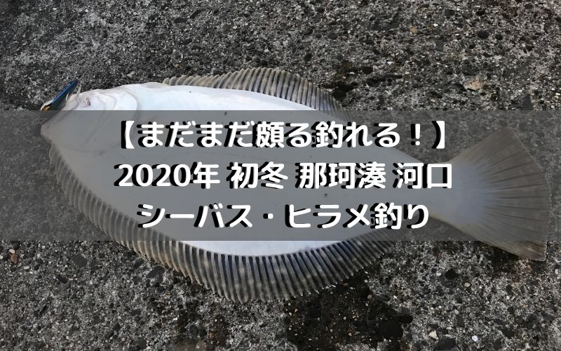 【まだまだ頗る釣れる！】2020年 初冬 那珂川 河口でシーバス・ヒラメ釣り