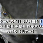 【シーバスだけは活性ヨシ！】2020年 初冬 千葉県 銚子マリーナで夜釣り（ルアー）