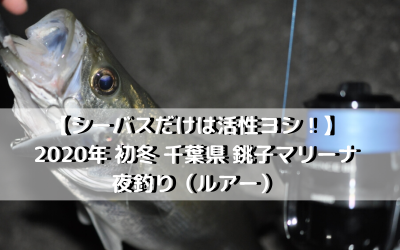 【シーバスだけは活性ヨシ！】2020年 初冬 千葉県 銚子マリーナで夜釣り（ルアー）