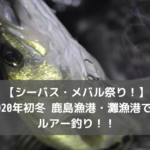 【シーバス・メバル祭り！】2020年初冬 鹿島漁港・灘漁港で夜ルアー釣り！！
