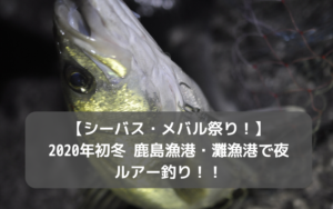 【シーバス・メバル祭り！】2020年初冬 鹿島漁港・灘漁港で夜ルアー釣り！！