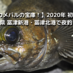 【デカメバルの宝庫！】2020年 初冬 千葉県 冨津新港・冨津北港で夜釣り
