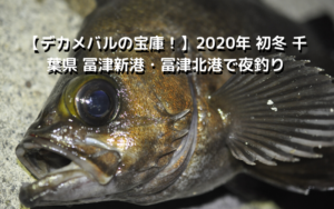 【デカメバルの宝庫！】2020年 初冬 千葉県 冨津新港・冨津北港で夜釣り