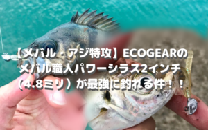 【メバル・アジ特攻！】メバル職人 パワーシラス インプレ実釣評価まとめ