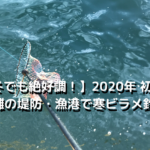 【波崎漁港と言えばヒラメ！】2020年 初冬 鹿島漁港～波崎漁港でルアー釣り