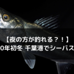 【夜の方が釣れる？！】2020年初冬 千葉港でシーバス釣り