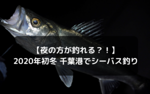 【夜の方が釣れる？！】2020年初冬 千葉港でシーバス釣り