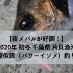 【夜メバルが好調！】2020年 初冬 千葉県片貝漁港で疑似餌（パワーイソメ）釣り