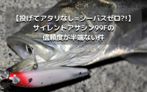 【投げてアタリなし=シーバス皆無？！】サイレントアサシン99Fを投げてダメなら諦めたほうが良い
