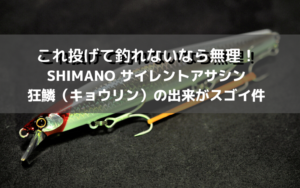 【傑作ルアー！】サイレントアサシンの超インプレ＆実釣感想！【シーバス釣りのド定番！】