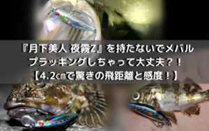 『月下美人-夜霧Z』を持たないで