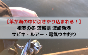 【竿が海の中に引きずり込まれる】極寒の冬 茨城県 波崎漁港でサビキ・ルアー・電気ウキ釣り