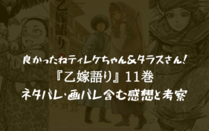 【良かったね巻(?)】乙嫁語り 11巻のネタバレ・画バレ含む感想と考察