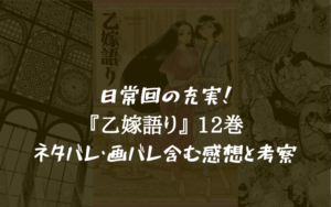 【一休み巻】乙嫁語り 12巻のネタバレ・画バレ含む感想と考察