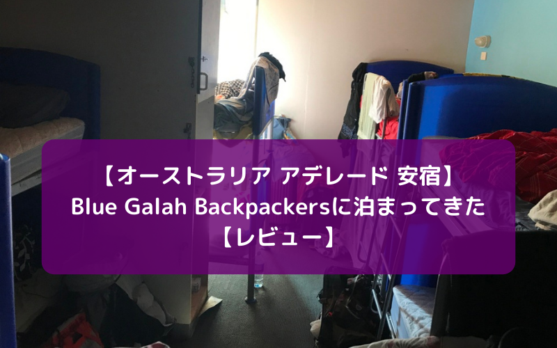 【アデレード 安宿】Blue Galah Backpackers Hostelに泊まってきた【レビュー】