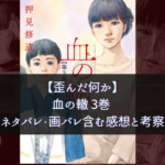 【歪んだ何か】血の轍 3巻 ネタバレ・画バレ含む感想と考察