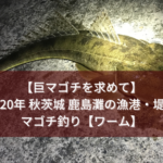 【釣れたった！！】2020年秋季 千葉県 某漁港の堤防でマゴチ狙い